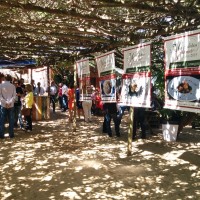 IMG_20150917_130108