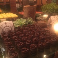 IMG_4629