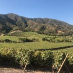 viña vik wine – 6