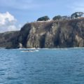 FERNANDO DE NORONHA 4